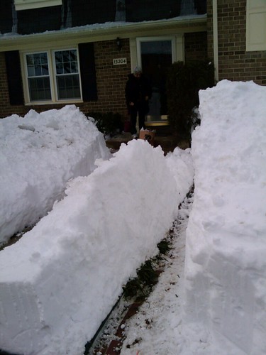 2010 Snowstorm!